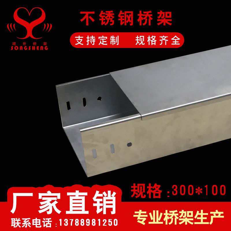 不锈钢槽式300100